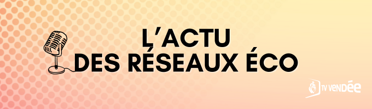 L'actu des réseaux éco