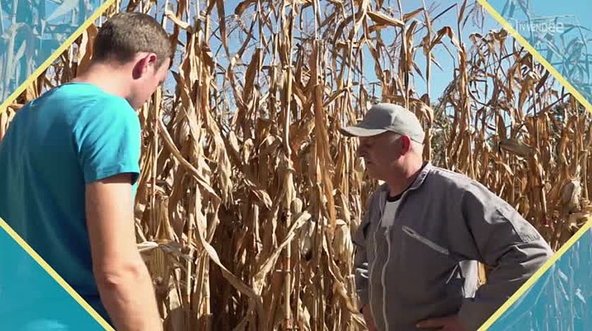 video | Beau Boulot – CAVAC- Mathieu Rabaud – Conseiller technico-commercial