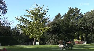 Luçon Opération Parcs en automne : le Jardin Dumaine participe à la 1re édition