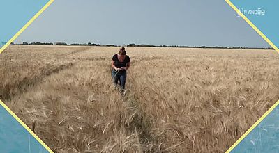 video | Beau Boulot - CAVAC- Chloé Rouvreau - Technicienne agro-environnement