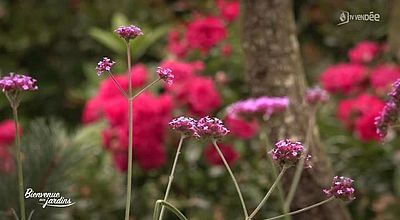 Bienvenue aux jardins : Jardin d'Hélène